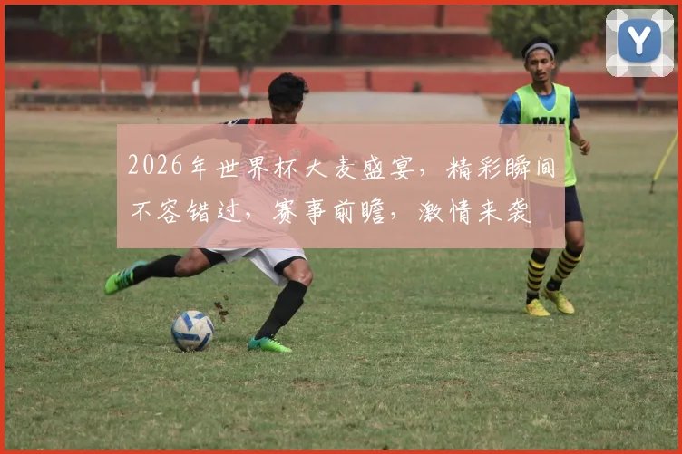 2026年世界杯大麦盛宴，精彩瞬间不容错过，赛事前瞻，激情来袭