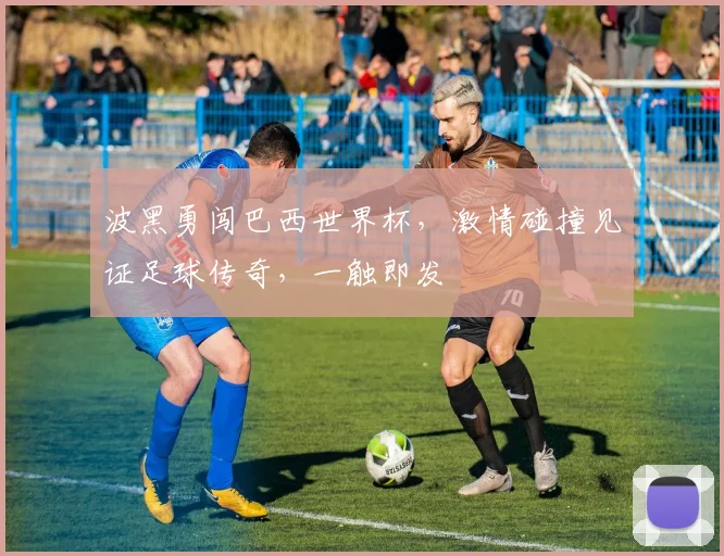 波黑勇闯巴西世界杯，激情碰撞见证足球传奇，一触即发