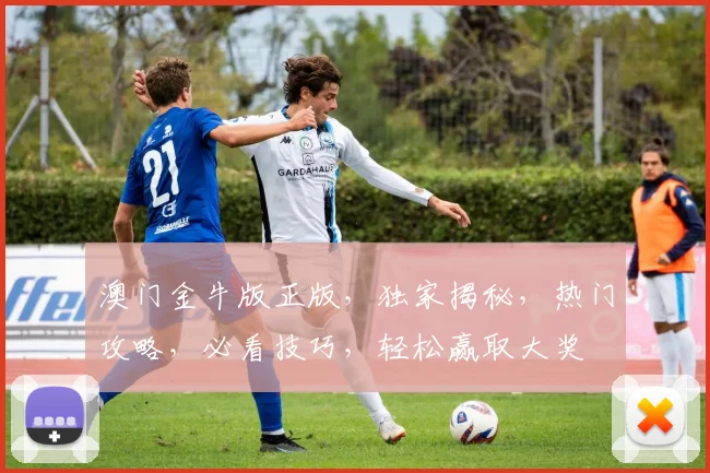 澳门金牛版正版，独家揭秘，热门攻略，必看技巧，轻松赢取大奖